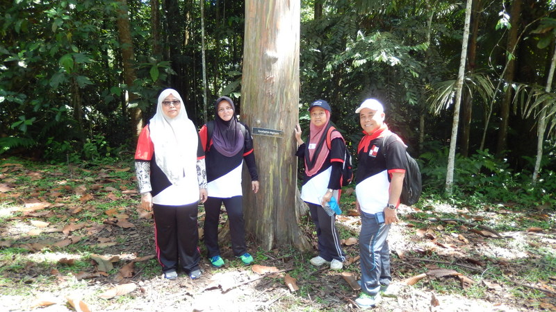 0787 DSCN0715